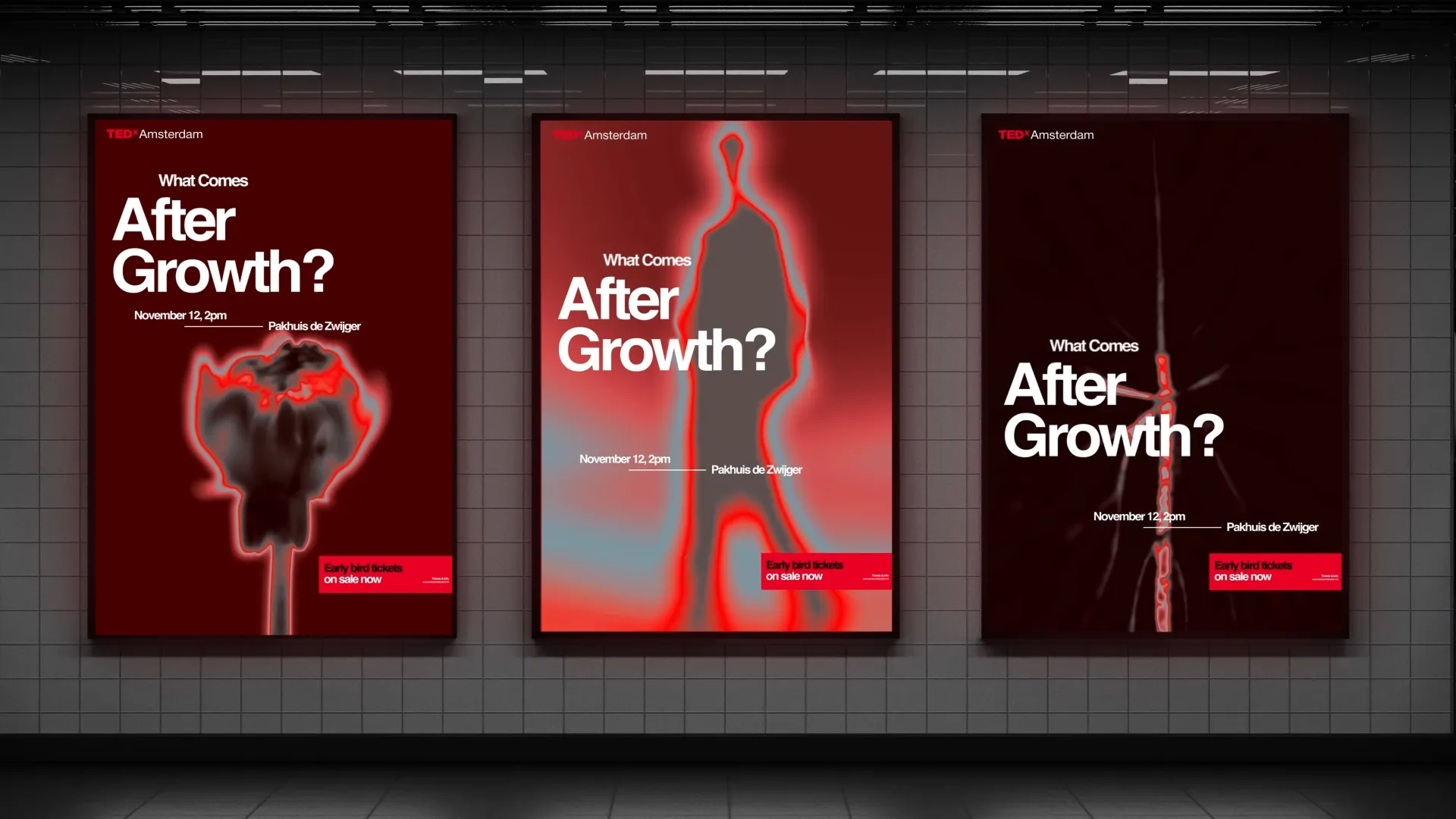 Three posters with abstract designs, titled "What Comes After Growth?" for a TEDxAmsterdam event on November 12 at Pakhuis de Zwijger.